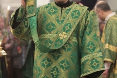 2018_03_31_verbnoe_vsen_011