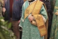 2018_03_31_verbnoe_vsen_012