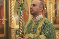 2018_03_31_verbnoe_vsen_013