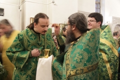 2018_03_31_verbnoe_vsen_019