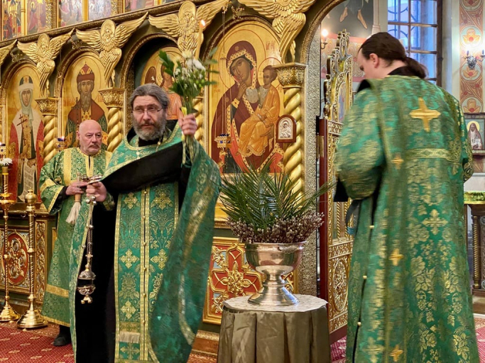 2022_04_17 Вход Господень в Иерусалим (Вербное воскресенье)