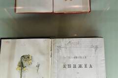 e0271961-42bd-4a65-9526-ddceb1c7b881