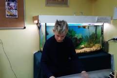 93cc36bb-935b-455a-a55b-45408aa79136