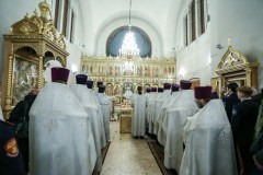IMG_0228
