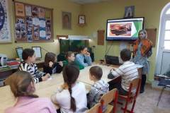 a1e36632-8d8e-4cdf-81b2-0e7c74f5b1b2