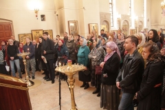 2018_04_22_mironosici_005