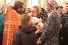 2018_04_22_mironosici_007