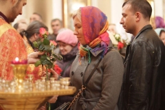 2018_04_22_mironosici_012