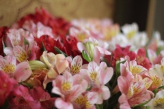 2018_04_22_mironosici_014