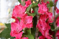 2018_09_02_Moleben_018