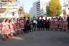 2018_10_14_narod_gul_001