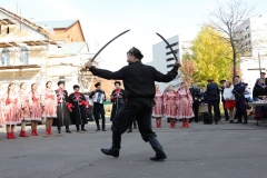 2018_10_14_narod_gul_008