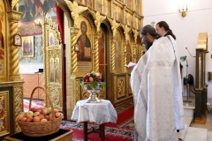 Preobrajenie_Lityrgia_011