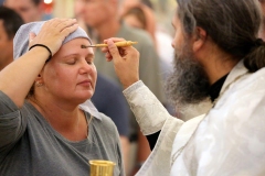 Preobrajenie_Vsenochnoe_010