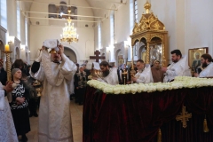 2018_04_07_Blagovechenie_Lityrgia_009