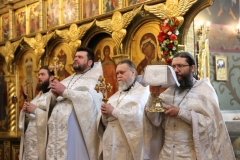 2018_04_07_Blagovechenie_Lityrgia_010