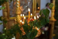 2018__05_26_Troica_vs_004