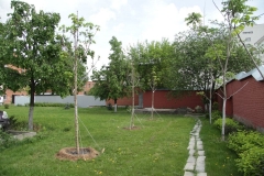 2018_05_09_posadka_kastanov_008